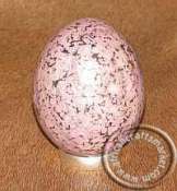 African Brown Opaline Stone Egg African Brown Opaline Stone Egg