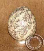 African Leopidoite Stone Egg African Leopidoite Stone Egg