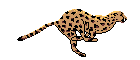 African arts & crafts website
