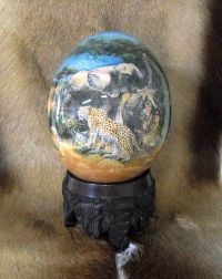 Big 5 ostrich egg