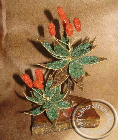 Gemstone Aloe tree African gemstone Aloe tree