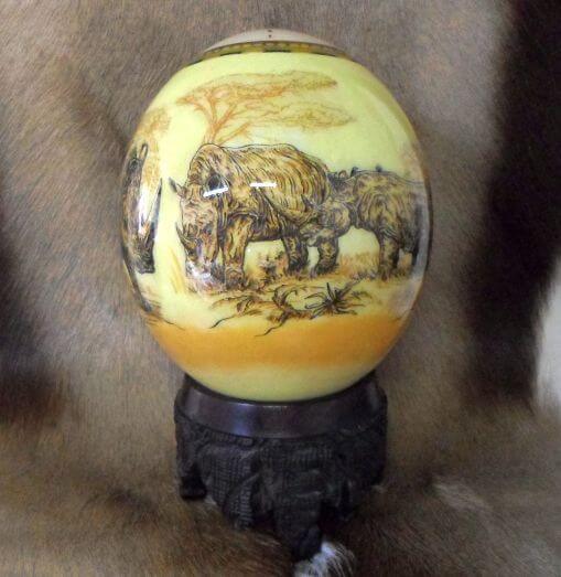 African ostrich egg - Rhino