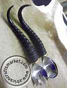 African horn salad servers African Blesbok horn salad servers