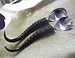 Blesbok horns salad server Blesbok horn salad server set