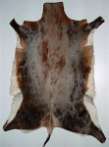 Blesbok skin Blesbok horns