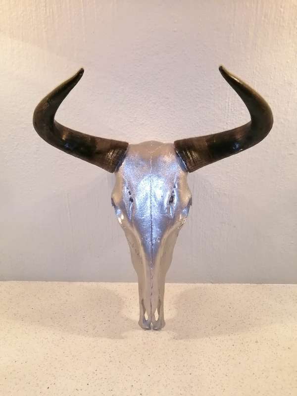 Silver painted Blue Wildebeest skull