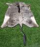 Blue Wildebeet hide