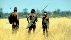 Bushmen hunters