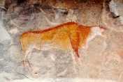 Bushman rock art