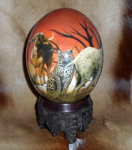 African ostrich egg of big 5