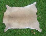 Duiker hide