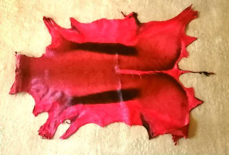 Red Springbok hide