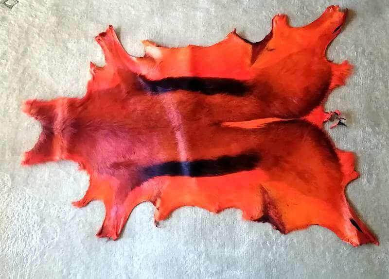Orange Springbok hide