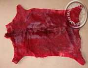 Dyed Reedbuck hide / skin