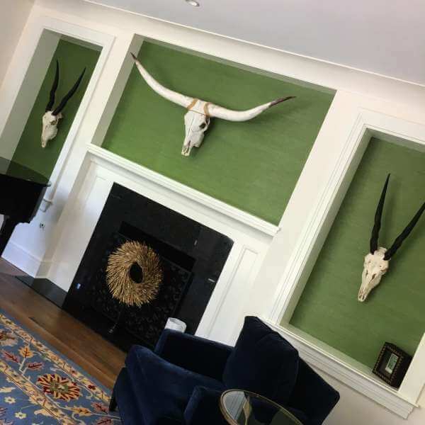 Eland skulls Eland skulls
