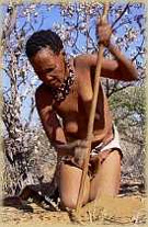 female Bushman