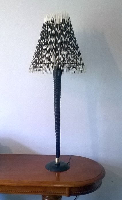 Porcupine quill lamp and Gemsbok horn light
