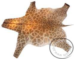 Giraffe skin