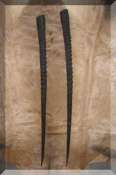 Gemsbok horns
