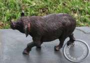 African Wooden Buffalo