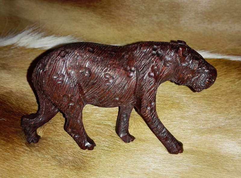 African wood Leopard Iron wood leoprad