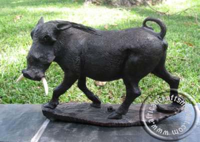 African wood Warthog