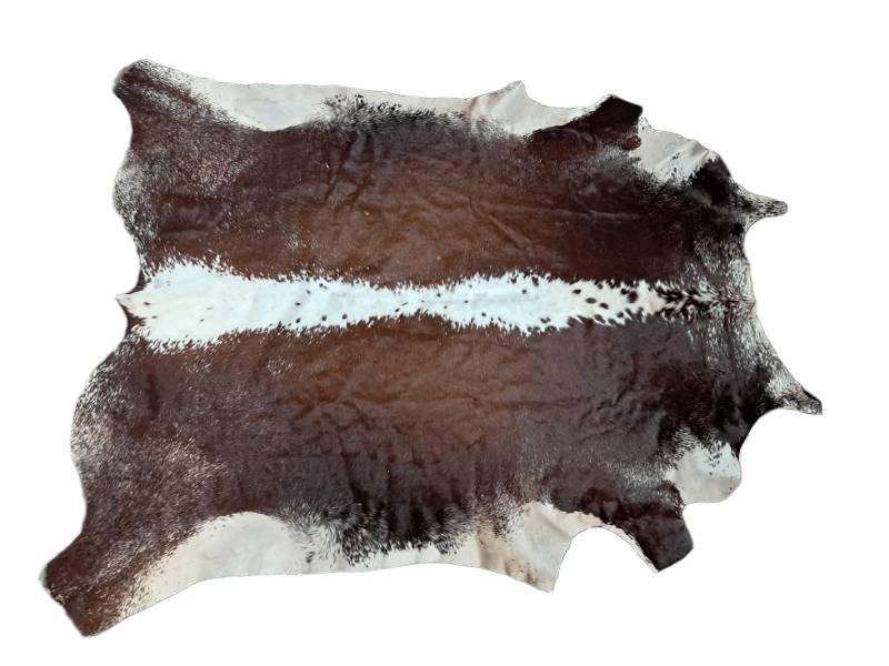 African Nguni cow hide