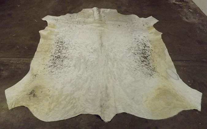 White Nguni hide