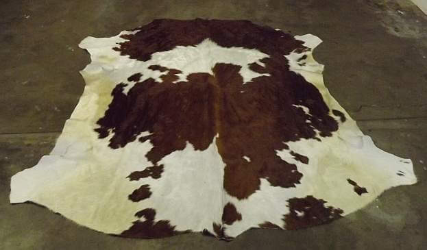 Brown and white Nguni cow hide