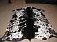 Nguni hide - skin