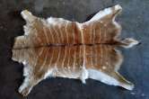 Female Nyala hide / skin Female Nyala hide - skin