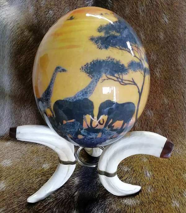 Ostrich egg - animals at sunset