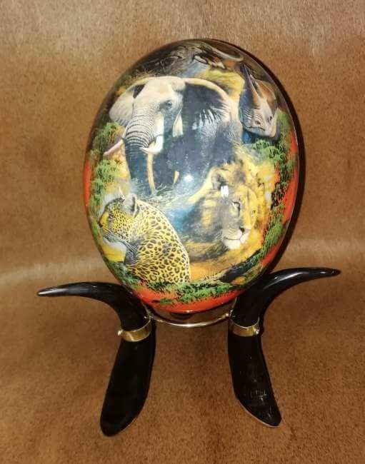 Ostrich egg - big 5 