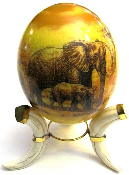 Elephants ostrich egg