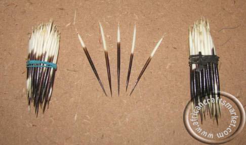 Porcupine quills 6-8cm