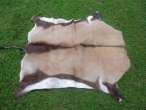 Gemsbok hide