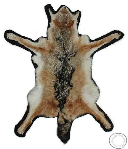 Black Back jackal hide