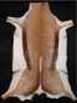 Springbuck hide Springbok hide