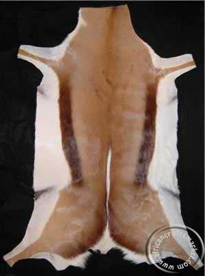 Springbuck Hides /Springbok hides