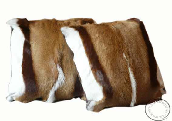 African Springbok hide cushions