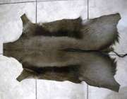 Black Springbok hide - skin