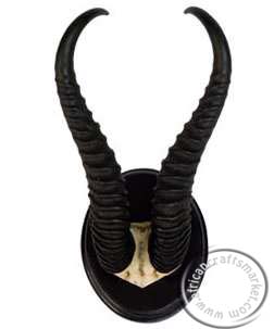 Springbok skull plate Springbok skull plate on shield