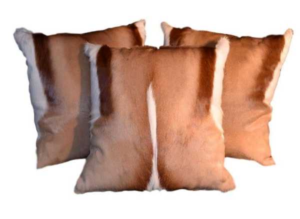 Springbuck skin cushions