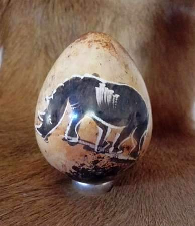 African stone egg - Rhino