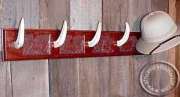 Warthog tusk hanging rack Warthog tusk handing rack