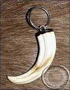 Warthog tusk keyring