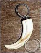 Warthog tusk key ring Warthog tusk key ring