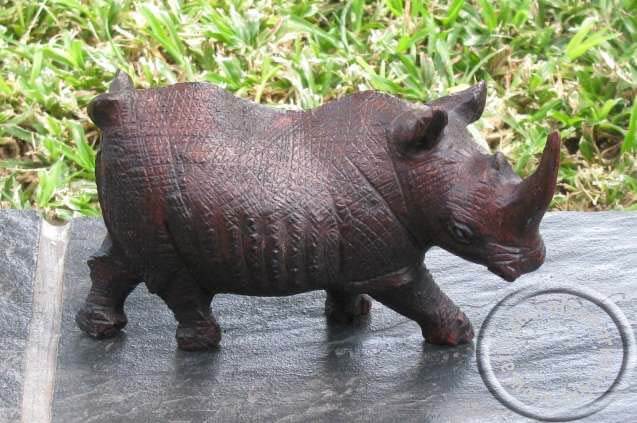 African wooden Rhino