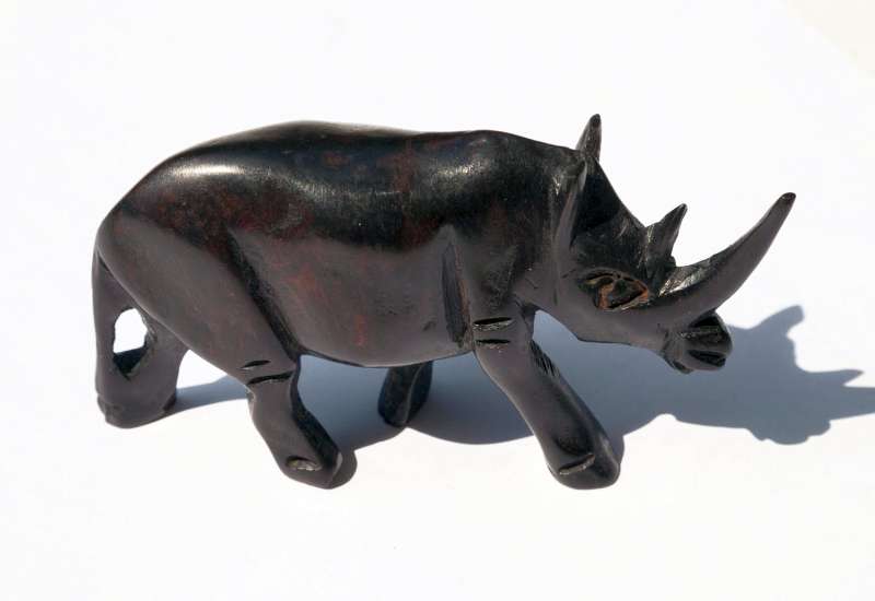 African ebony Rhino