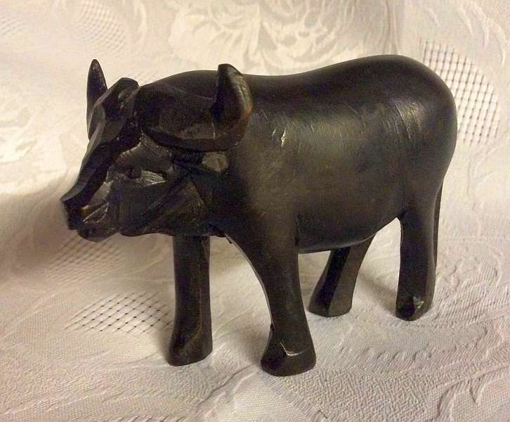 African ebony Buffalo
